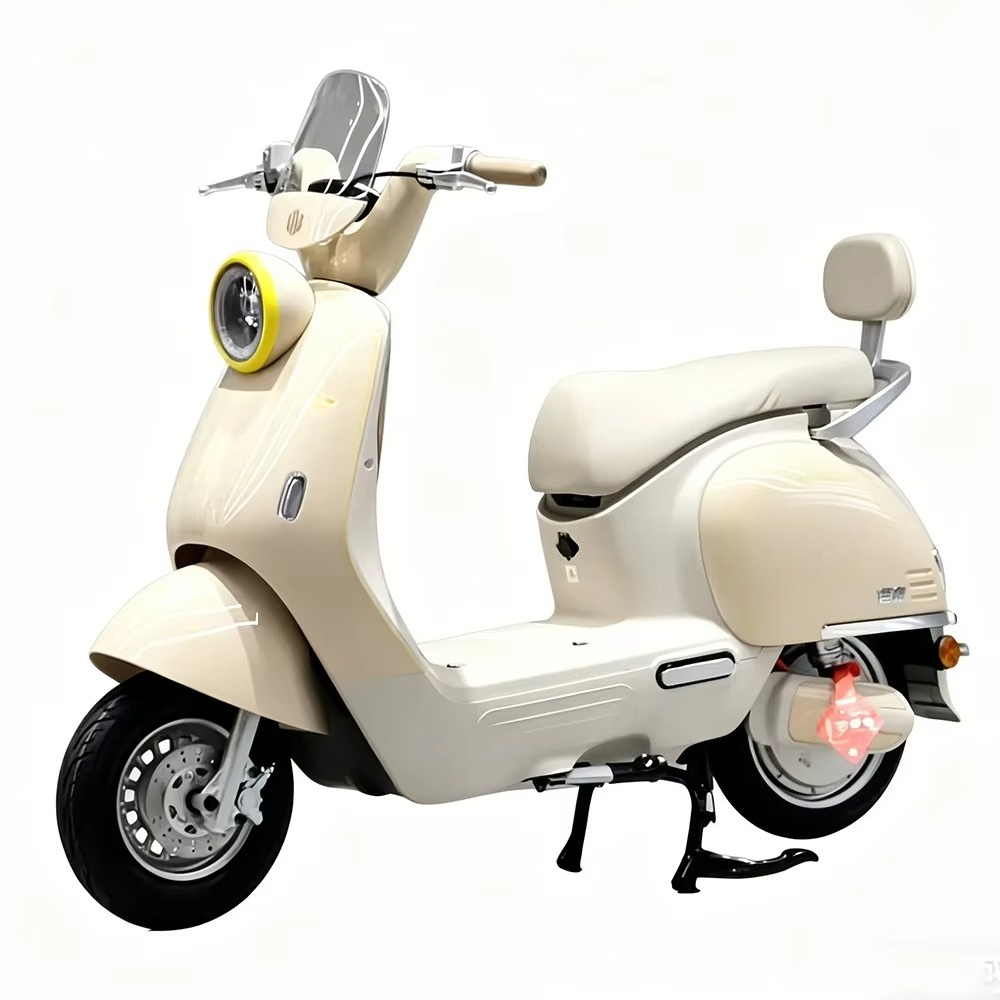 EER yetişkin tipi, disk frenli - Brake Disc Motorcycle incelemesi ve fiyatı